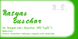 matyas buschor business card